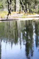 IMG_0561.jpg (160kb)