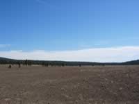 Pumice Desert, part of Crater Lake National Park (112kb)