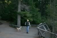 Doug walking Hayde (120kb)